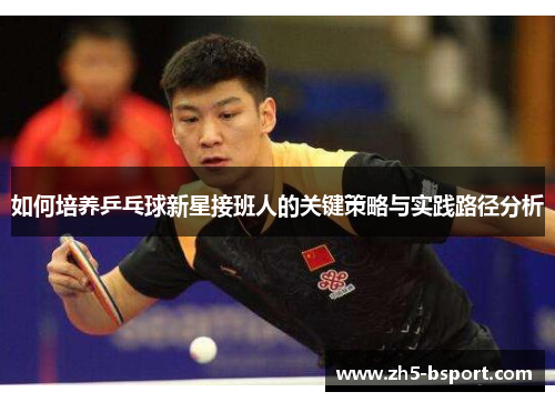 如何培养乒乓球新星接班人的关键策略与实践路径分析