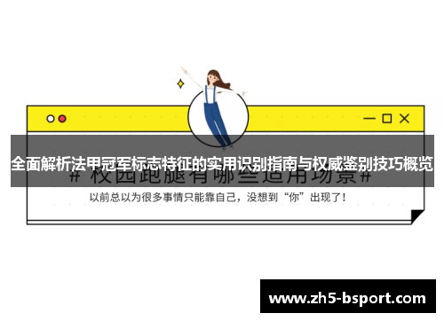 全面解析法甲冠军标志特征的实用识别指南与权威鉴别技巧概览