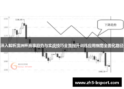 深入解析澳洲杯赛事趋势与实战技巧全面提升训练应用指南全面化路径