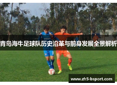 青岛海牛足球队历史沿革与前身发展全景解析